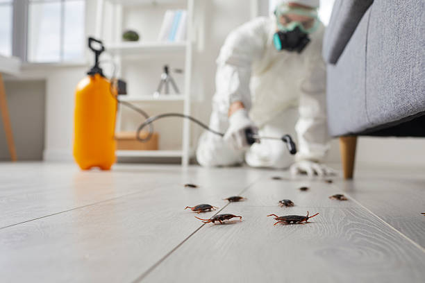 Trusted Fumigation Services service in New Hampton, IA - Nex Pest Control