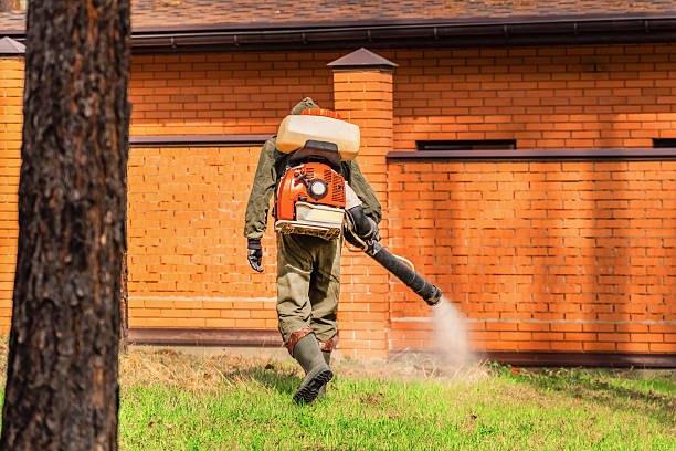 Trusted Rodent Control service in New Hampton, IA - Nex Pest Control
